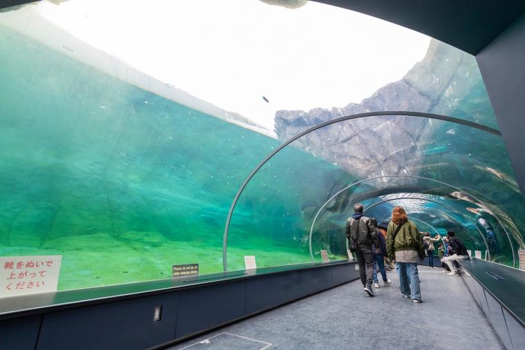 札幌市円山動物園