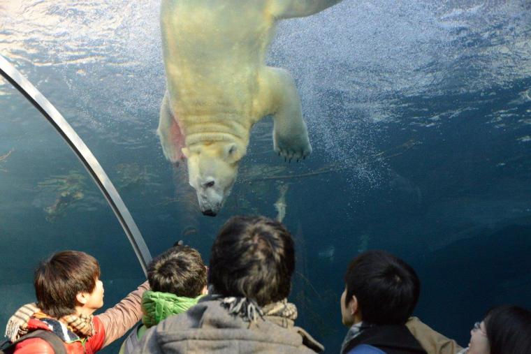 札幌市円山動物園