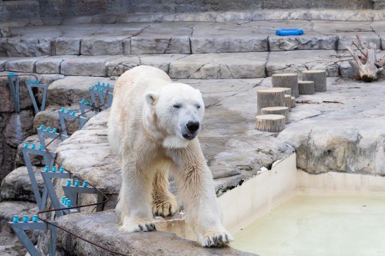 札幌市円山動物園