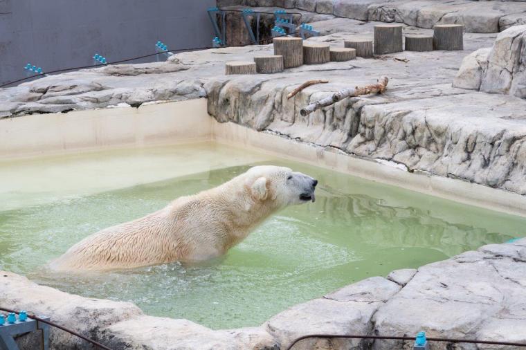 札幌市円山動物園