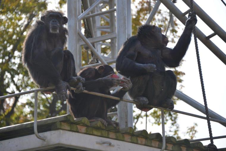札幌市円山動物園