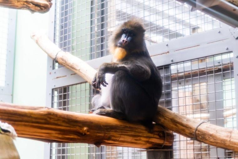 札幌市円山動物園