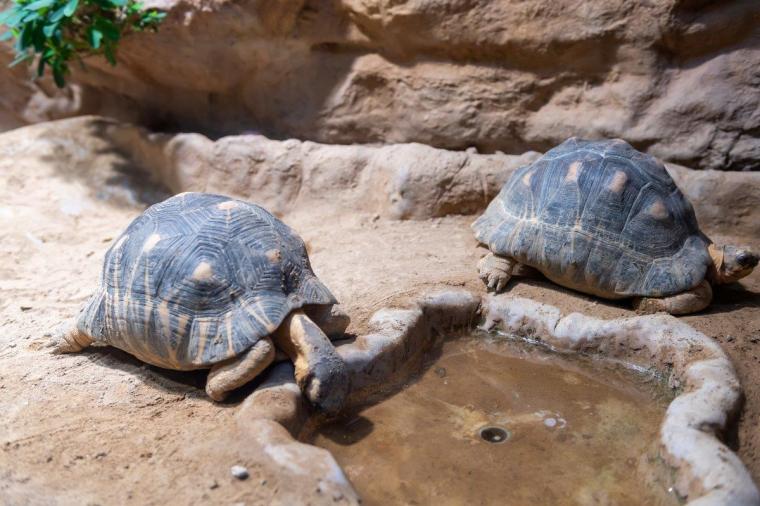 札幌市円山動物園