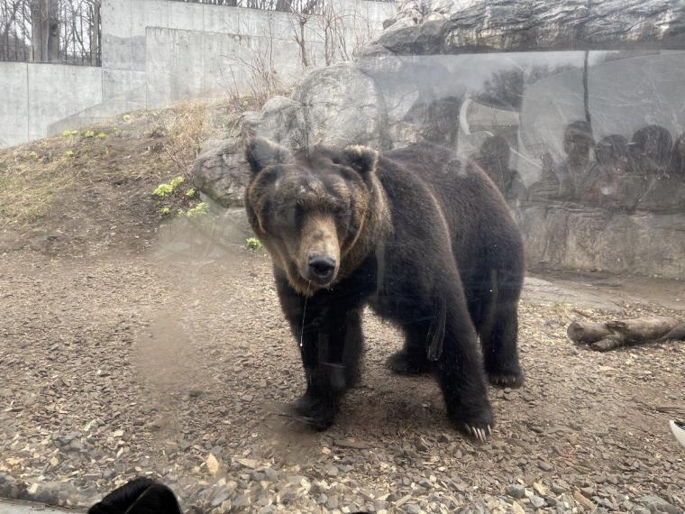 札幌市円山動物園