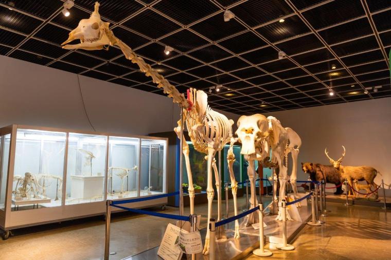 札幌市円山動物園