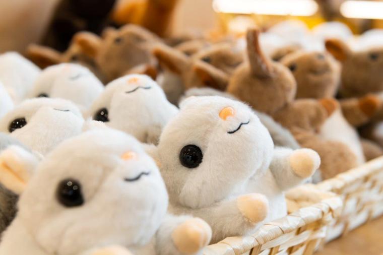 札幌市円山動物園