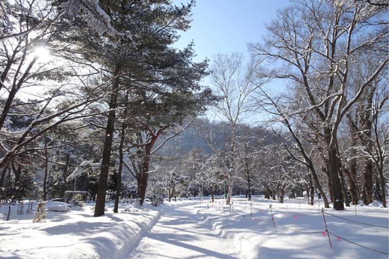 札幌市円山動物園