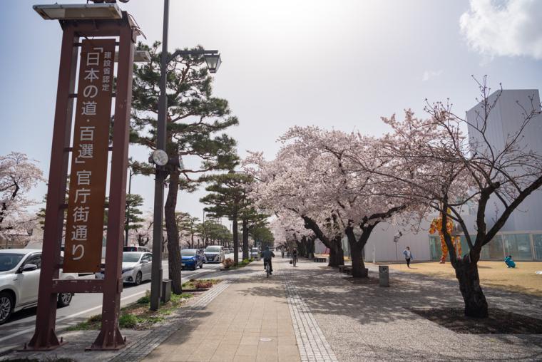 十和田市官庁街通り