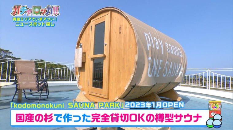 アオシマアパートメント