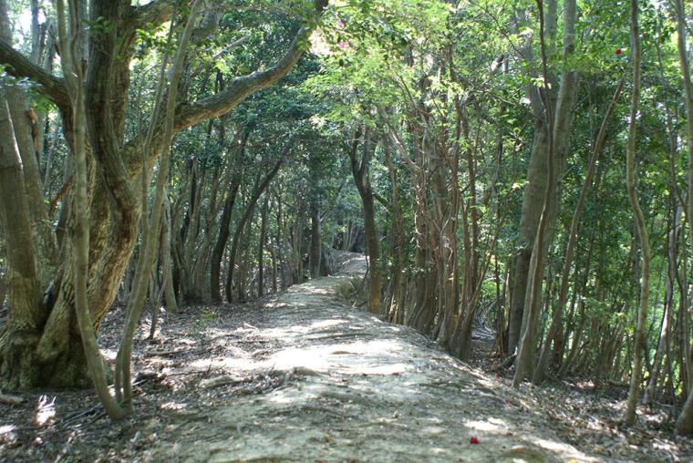 熊野古道 大辺路