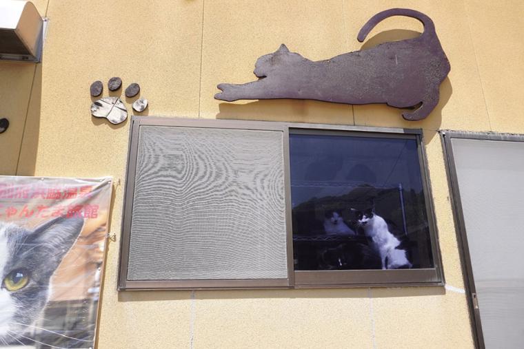 別府温泉　新玉旅館