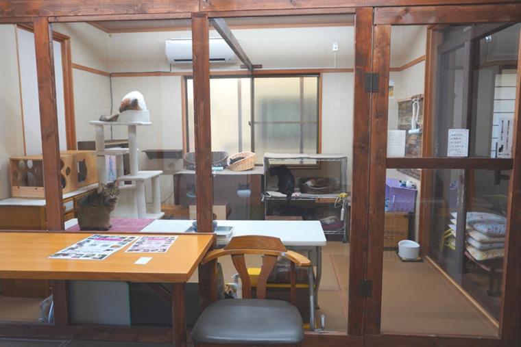 別府温泉　新玉旅館