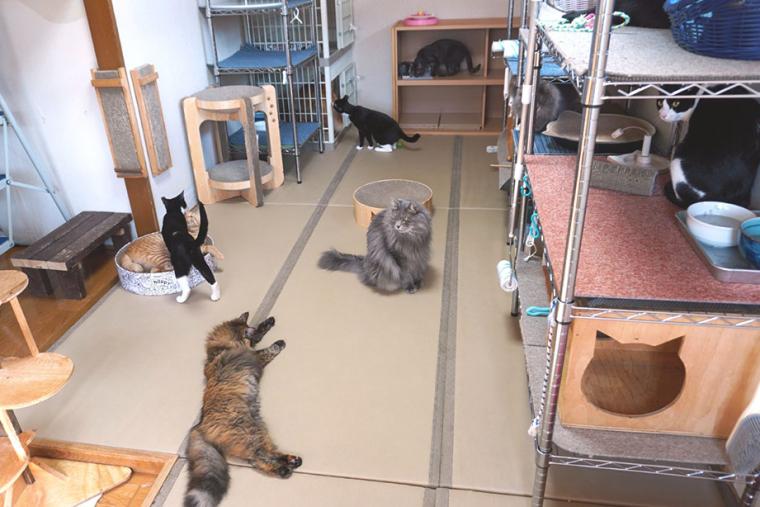 別府温泉　新玉旅館