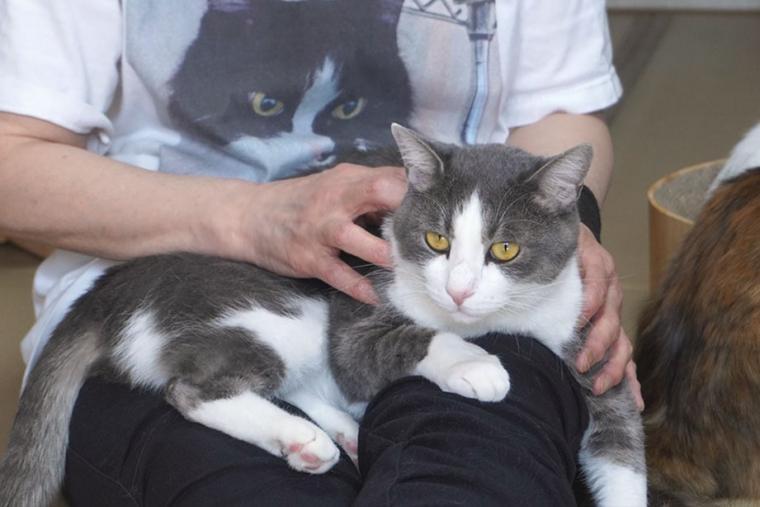 別府温泉　新玉旅館