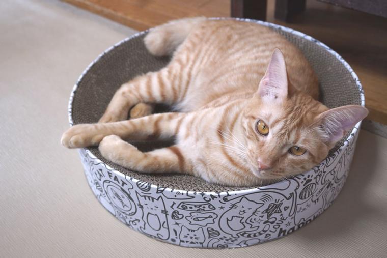 別府温泉　新玉旅館