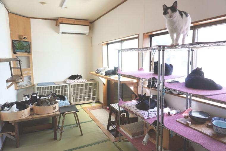 別府温泉　新玉旅館