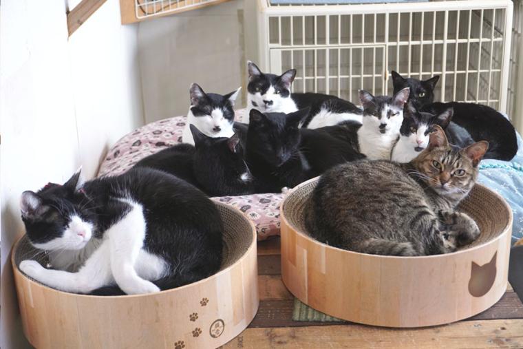 別府温泉　新玉旅館