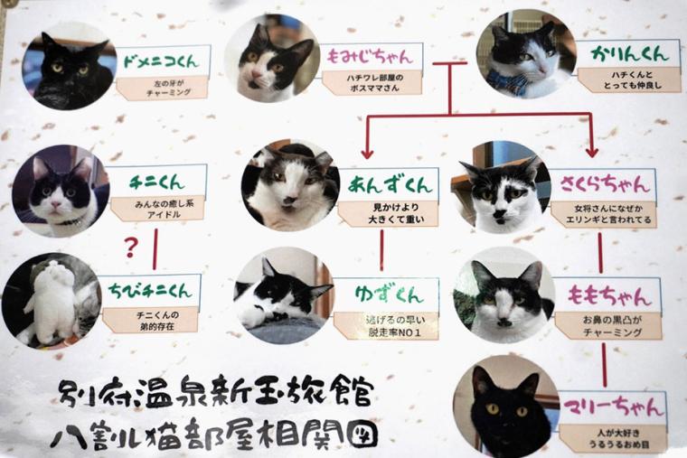 別府温泉　新玉旅館