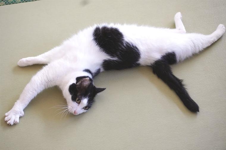 別府温泉　新玉旅館