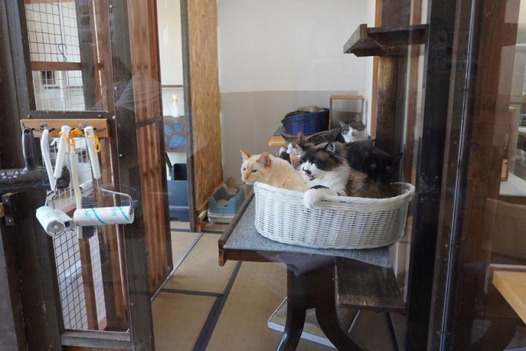 別府温泉　新玉旅館