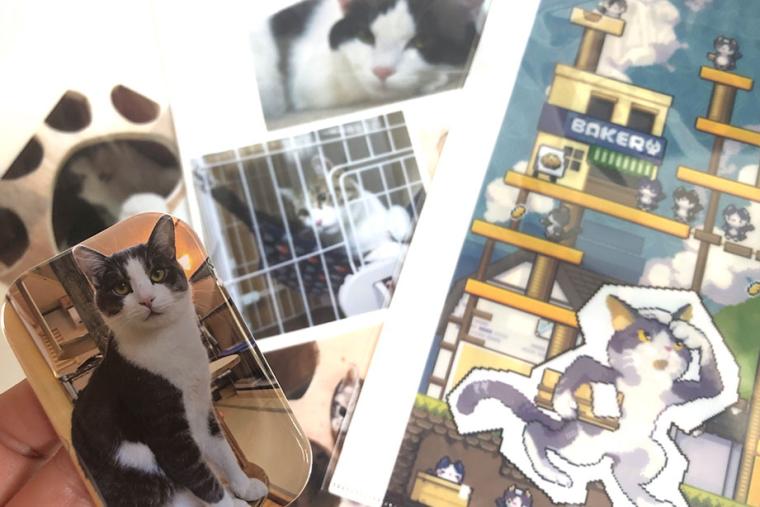 別府温泉　新玉旅館