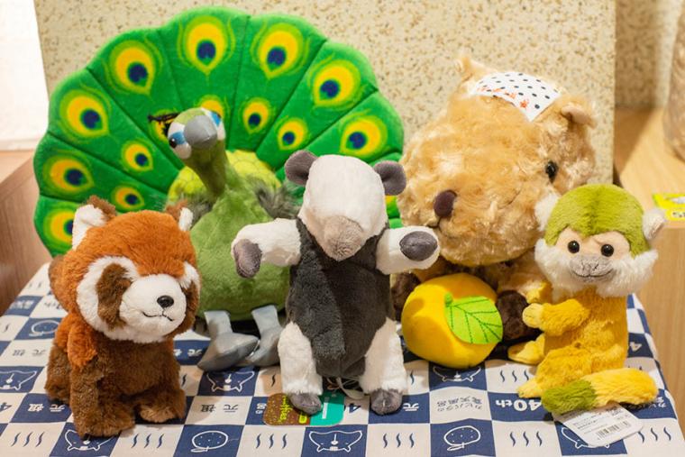 伊豆シャボテン動物公園