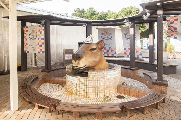 伊豆高原 旅の駅ぐらんぱるぽーと