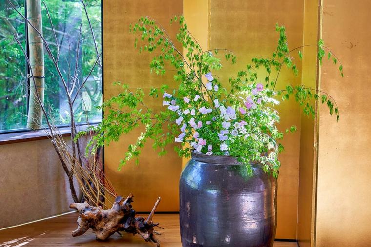 河津七滝　渓流温泉茶寮　水鞠（ＭＩＺＵＭＡＲＩ）