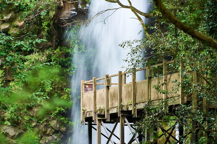 静岡「河津七滝」は滝初心者におすすめ！散歩気分で7つの滝を巡ろう