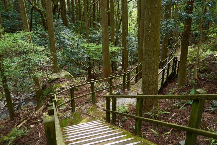 静岡「河津七滝」は滝初心者におすすめ！散歩気分で7つの滝を巡ろう