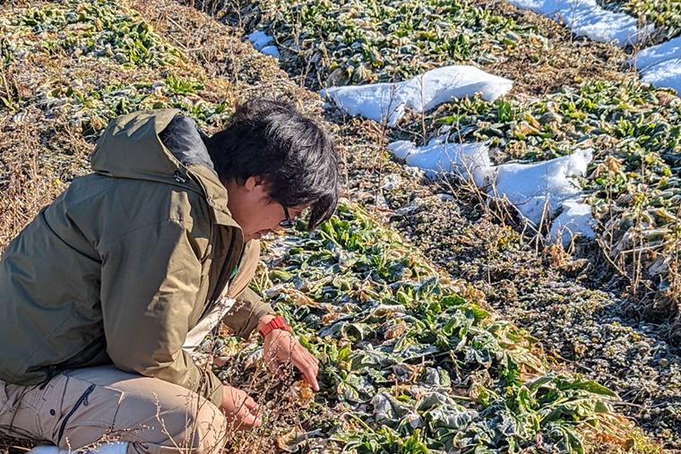 信州の「食」を堪能し尽くす「旧軽井沢KIKYOキュリオ・コレクションbyヒルトン」