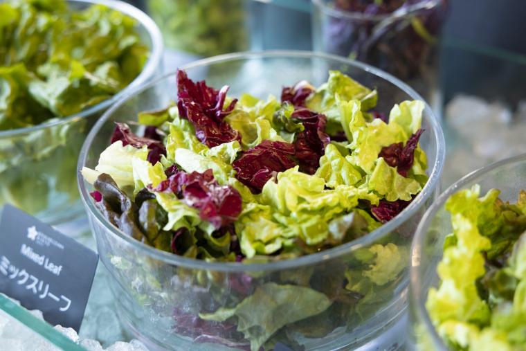 信州の「食」を堪能し尽くす「旧軽井沢KIKYOキュリオ・コレクションbyヒルトン」