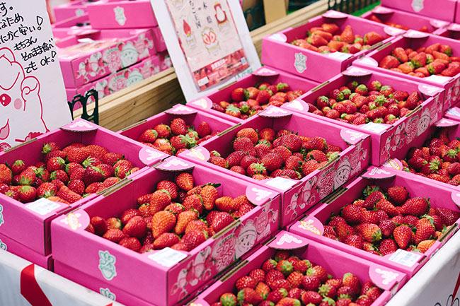 佐野観光農園アグリタウン