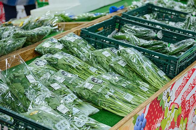 佐野観光農園アグリタウン