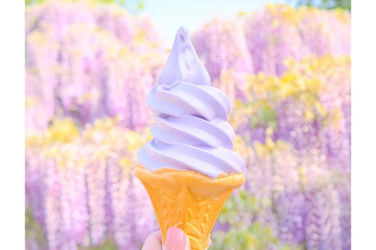 あしかがフラワーパーク