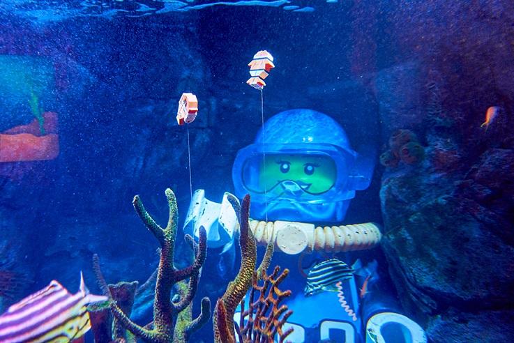 シーライフ名古屋