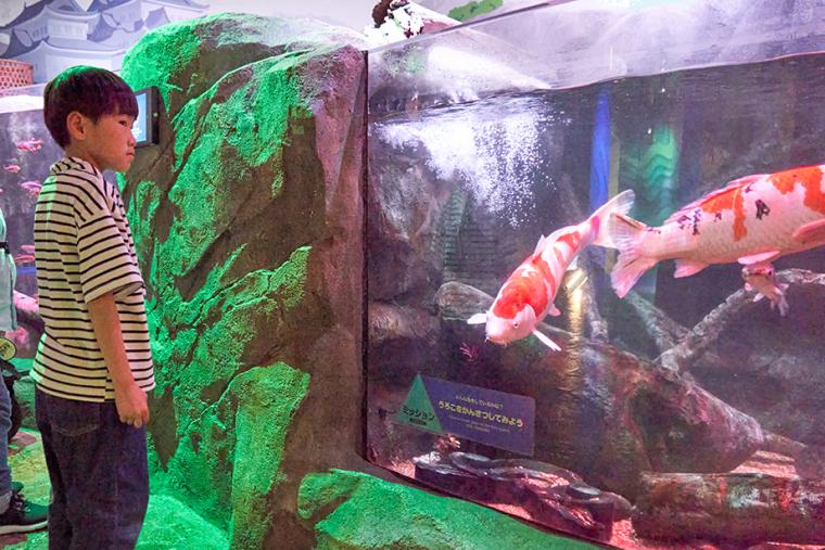 シーライフ名古屋