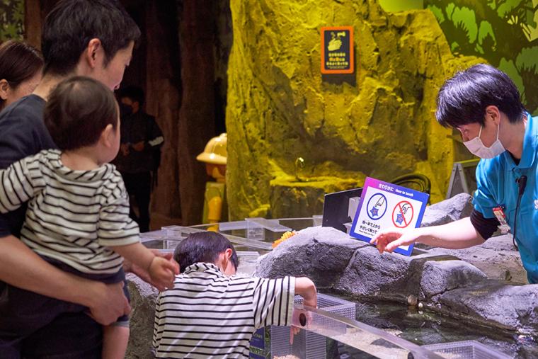 シーライフ名古屋