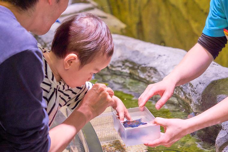 シーライフ名古屋