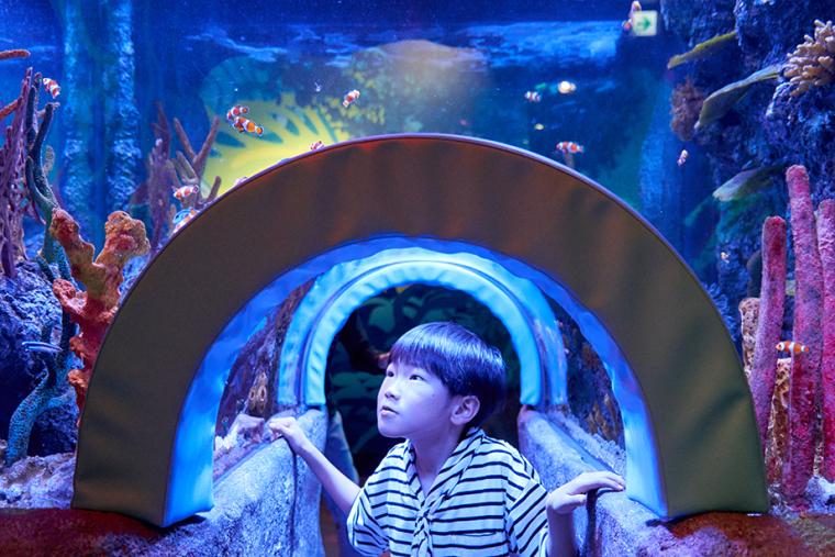 シーライフ名古屋