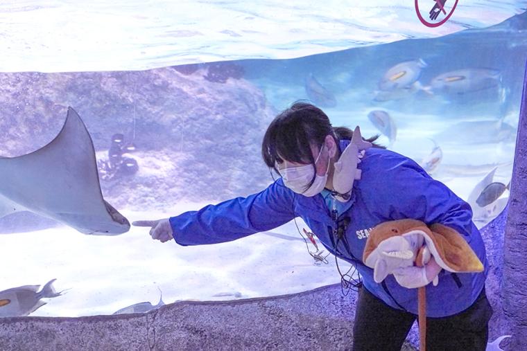 シーライフ名古屋