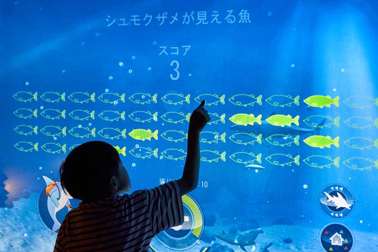 シーライフ名古屋