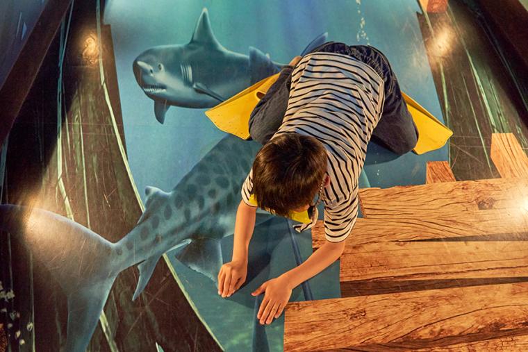 シーライフ名古屋