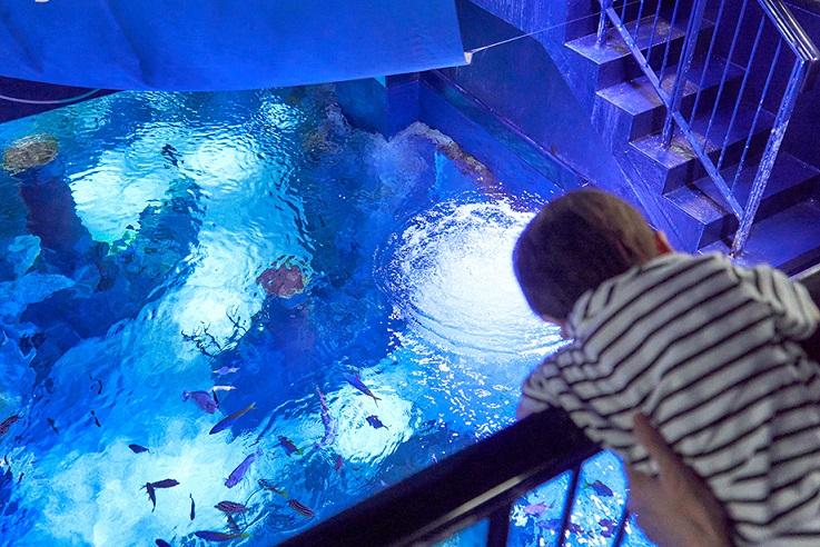 シーライフ名古屋