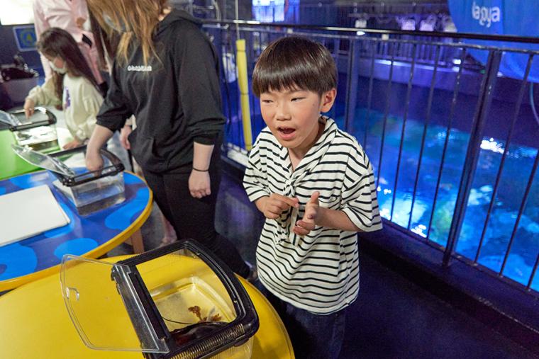 シーライフ名古屋