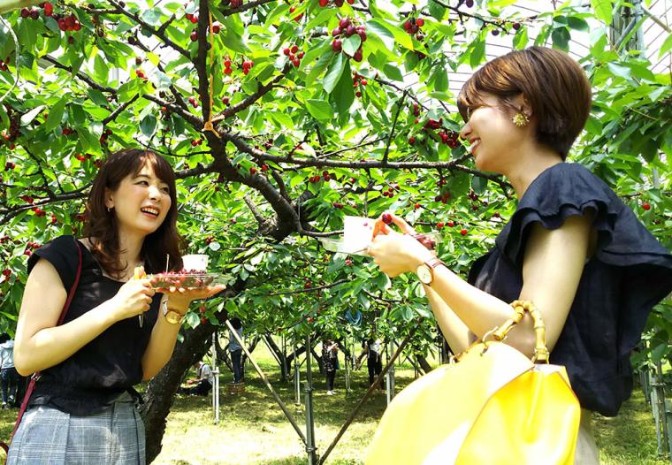 滋賀・マキノピックランド