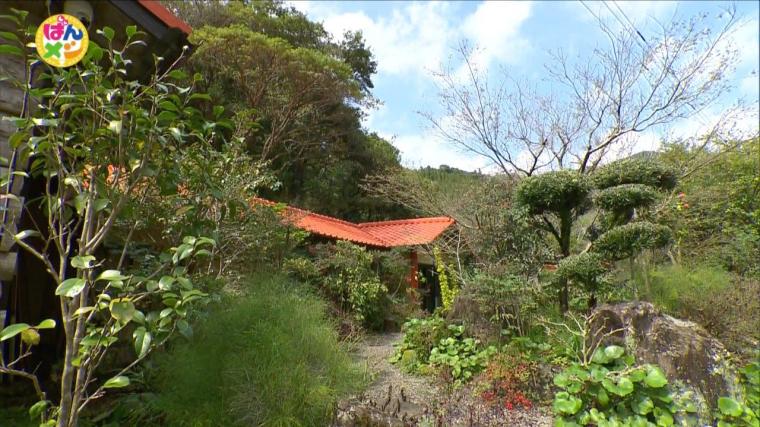 「炭火焼 山空」