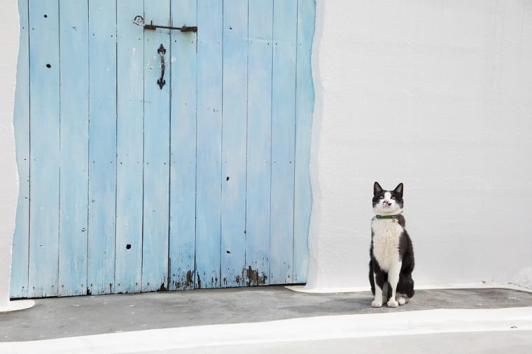 ヴィラ サントリーニ