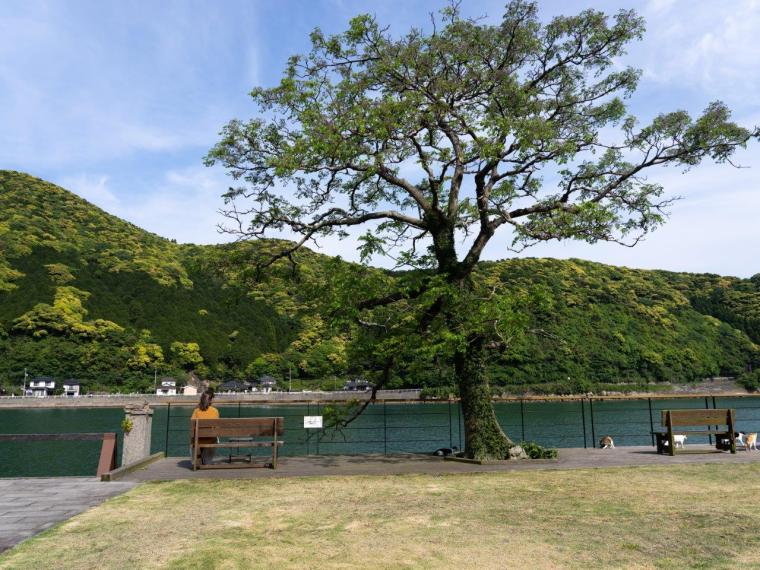 﨑津観光交流広場