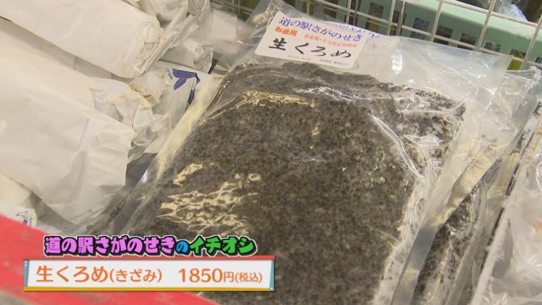 道の駅 さがのせき